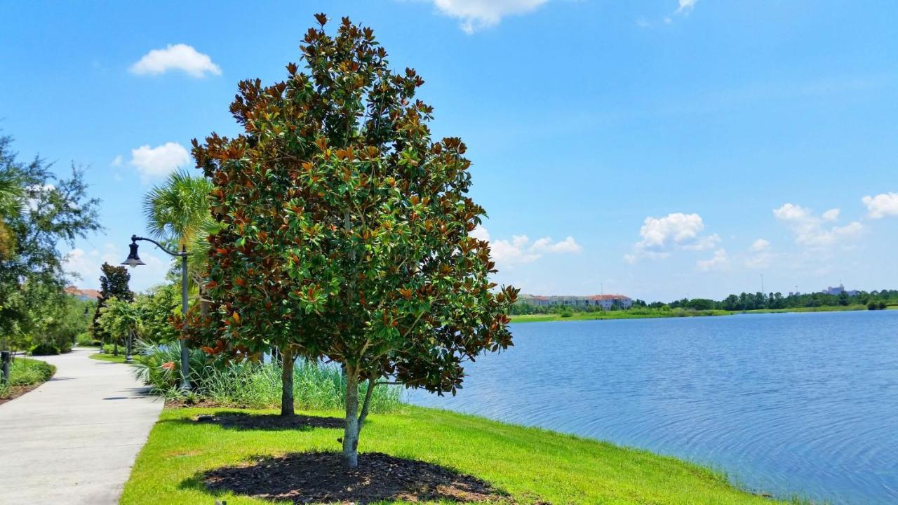 5025 Shoreway Loop #203 Orlando Exterior foto
